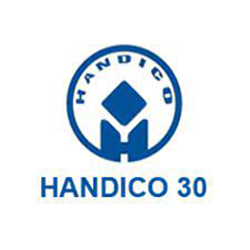 Công ty CP Đầu tư và Phát triển nhà Hà Nội số 30 (Handico30)