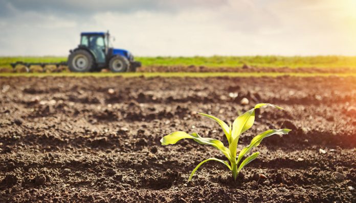 Hết hạn sử dụng đất nông nghiệp có bán được không ?