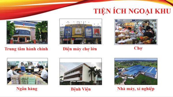 Hoa Khải New Land Đức Hòa