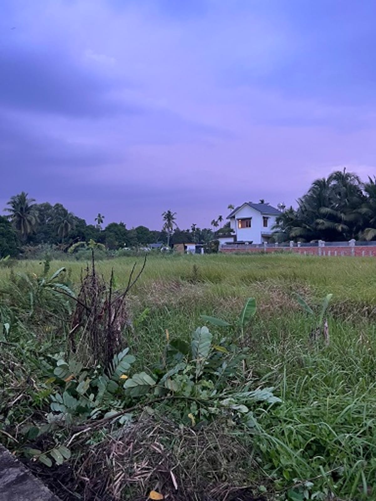 Cần bán gấp 2 lô đất đẹp tại Thuận An, Bình Dương