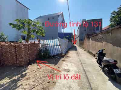 Chính chủ nhờ bán lô đất gần đường131 Đại Tảo,  Xuân Giang, Sóc Sơn, Hà Nội