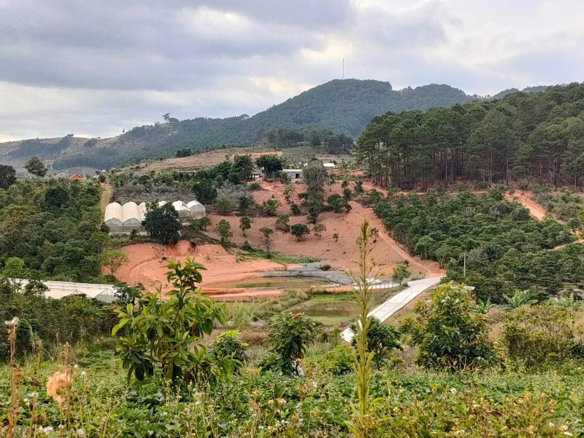 Bán đất làm farm trang trại tại Tà Nung Đà Lạt gần 3 hecta