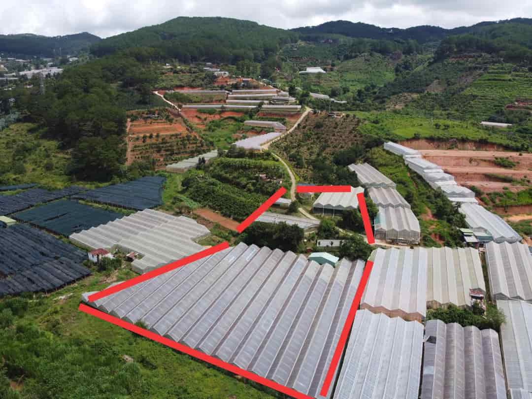 Bán đất Mimosa Phường 10, Đà Lạt, 9000m2, chỉ 4,5tr/m2