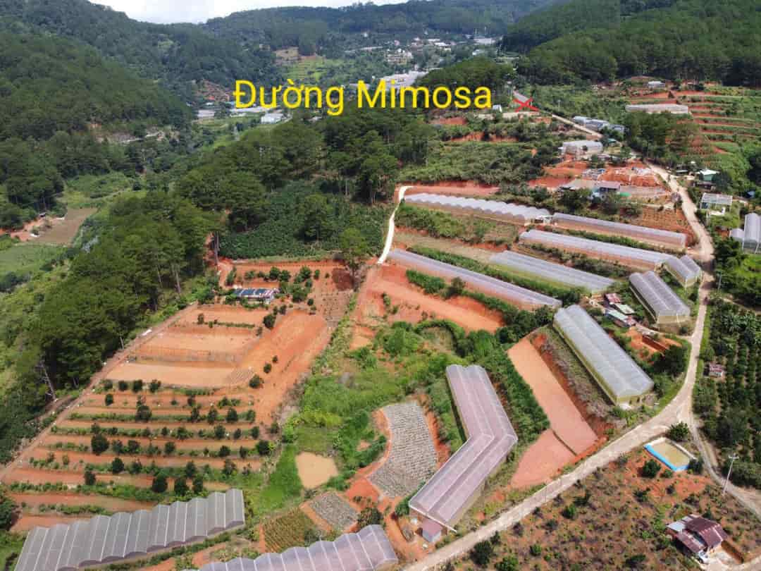 Bán đất Mimosa Phường 10, Đà Lạt, 9000m2, chỉ 4,5tr/m2