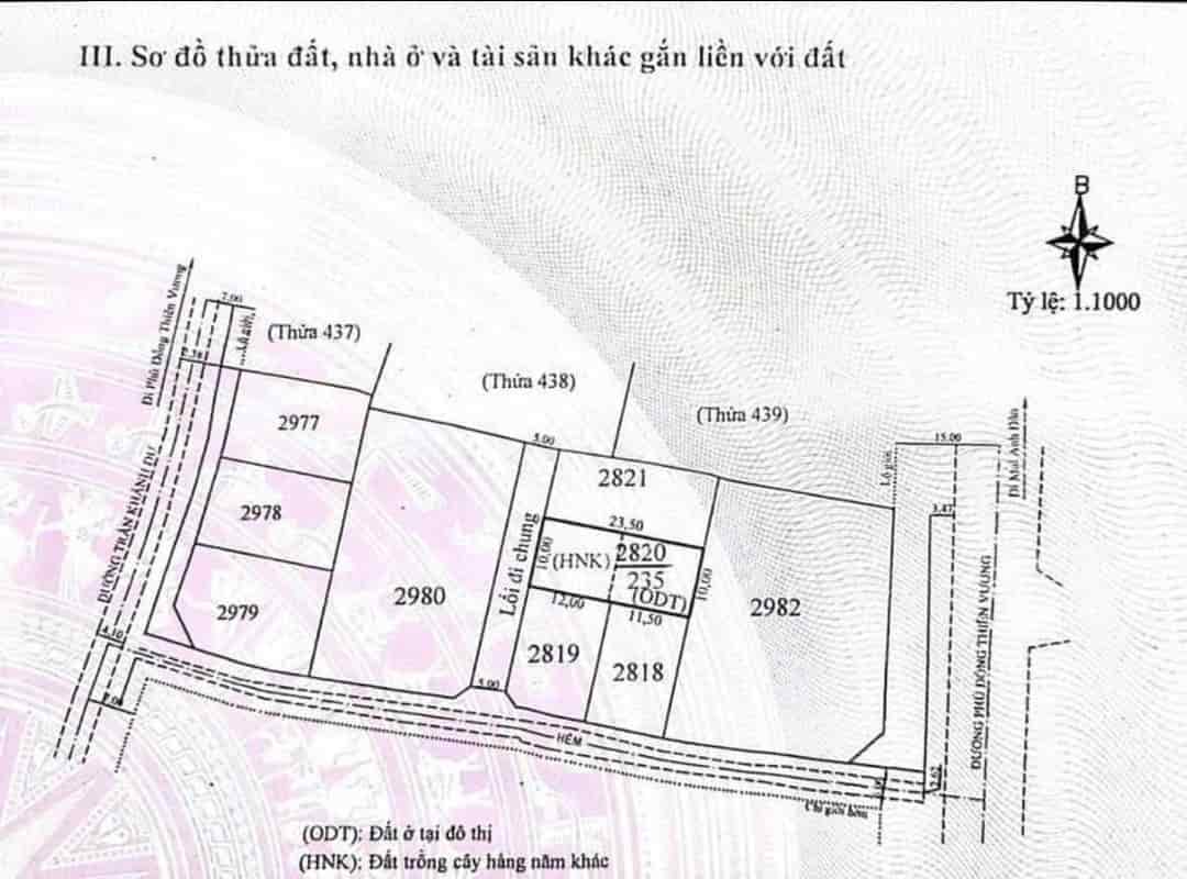 Bán đất Phù Đổng Thiên Vương, P8, Đà Lạt, 235m2