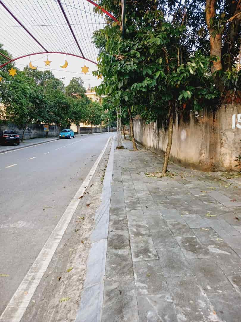 Cần bán lô đất có nhà trên đất hơn 1000m full TC bám mặt đường phố đi bộ Nguyễn Cấu giá thấp hơn thị trường