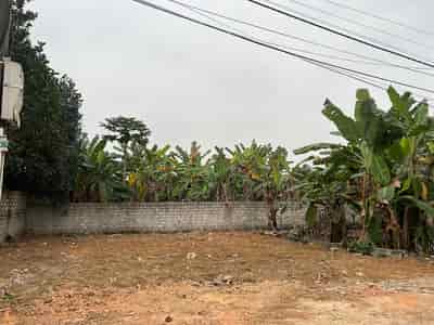 Chính chủ cần bán lô đất tại xã Tân Xã, Thạch Thất, Hà Nội