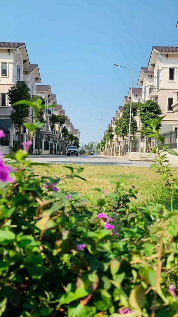 Chỉ 6,x tỷ cho lô biệt thự tại Thành phố Từ Sơn