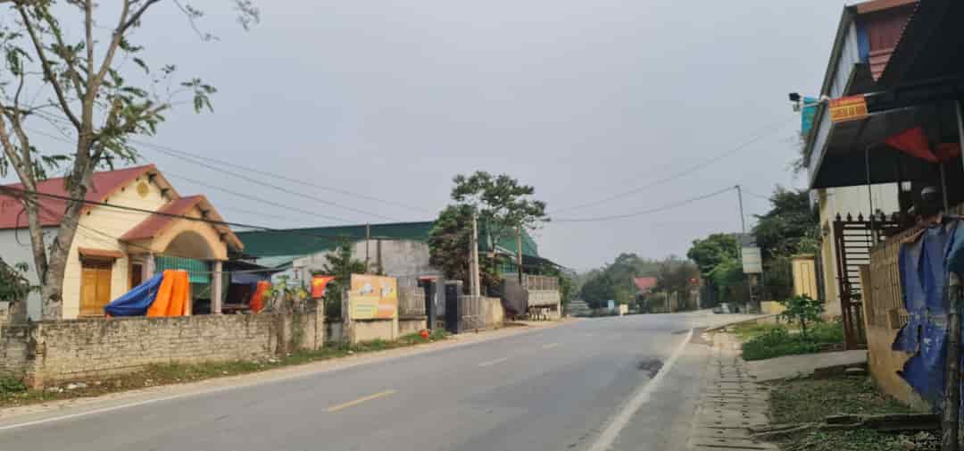 Bán nhà mặt đường quốc lộ 217 xã Cẩm Bình, huyện Cẩm Thủy, tỉnh Thanh Hóa, 738m2, MT 15m, miễn TG