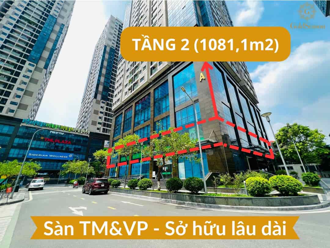 Bán full sàn văn phòng 1081.1m2, sổ hồng lâu dài siêu hiếm quận Thanh Xuân, sẵn khách thuê