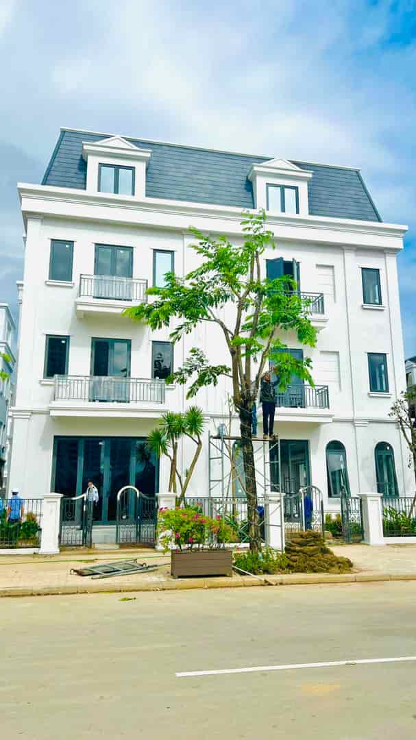 Trực tiếp CĐT Nam Cường mở bán dinh thự Dương Nội, 720m2 nhận nhà ngay giá chỉ 137tr/m2