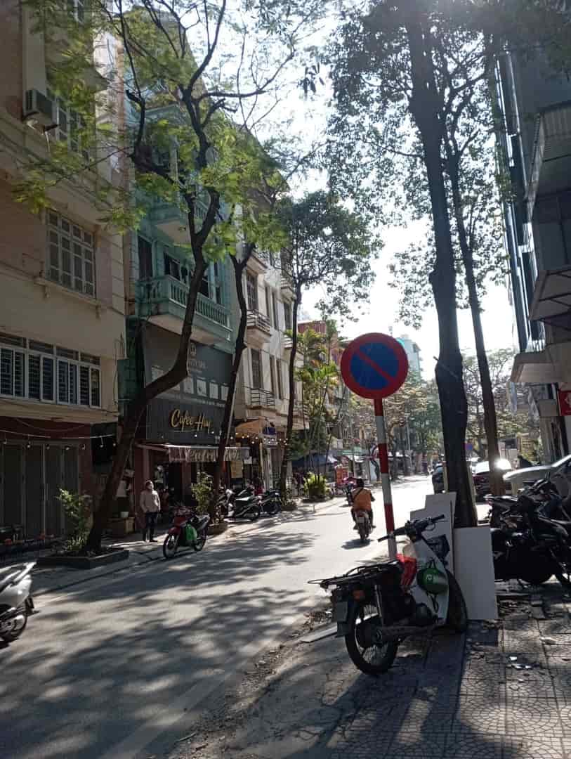 Bán nhà mặt phố Vũ Ngọc Phan, vị trí đắc địa, kinh doanh duy nhất 1 căn