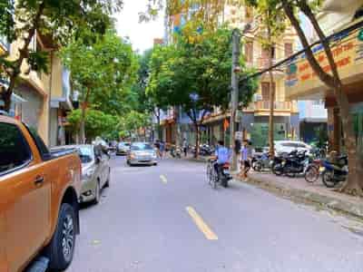 Mặt phố Nguyễn Khả Trạc, vị trí đắc địa hiếm nhà bán, kinh doanh sầm uất ngày đêm