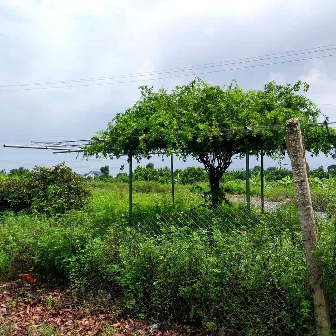Cần cho thuê mảnh đất mặt đường địa chỉ tỉnh lộ 45, Yên Trung, Yên Định