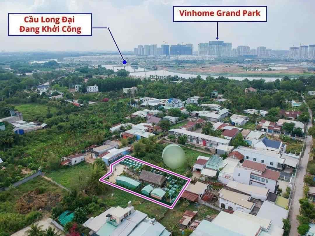 Giảm ngay 13 tỷ bán gấp nhà vườn tại phường Long Phước, Thủ Đức