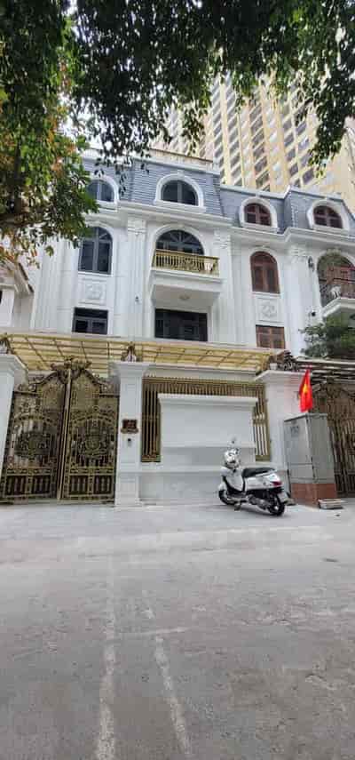 Bán biệt thự 262 Nguyễn Huy Tưởng 175m, 4T nội thất xịn nơi ở lý tưởng Thanh Xuân