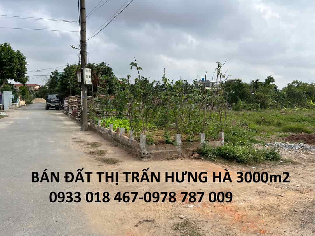 Bán đất thị trấn hưng hà, thái bình 3000m2