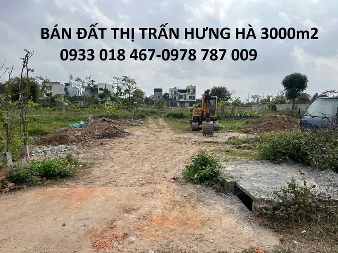 Bán đất xã tây đô, hưng hà, thái bình trục huyện 3000m2