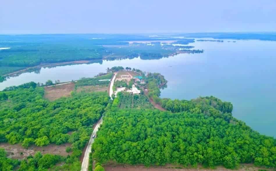 Bán đất view hồ Lộc Quang, Bình Phước, sổ sẵn