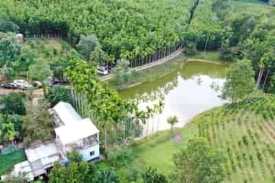 Bán khu du lich sinh thái gần Bà Nà Hill, Đà Nẵng, 80Ha, sông, núi, rừng, đang khai thác