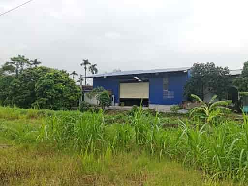 Cho thuê nhà xưởng tại xã Thuỵ Phú, Phú Xuyên, Hà Nội diện tích: 500m2.