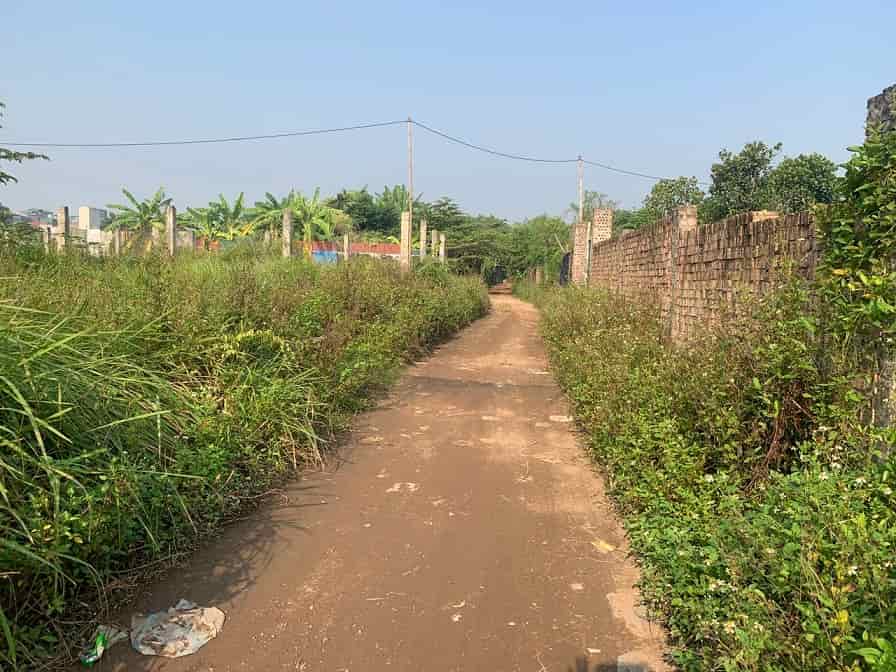 Cần bán 2 mảnh đất tại phố Thạch Cầu, Long Biên, Hà Nội