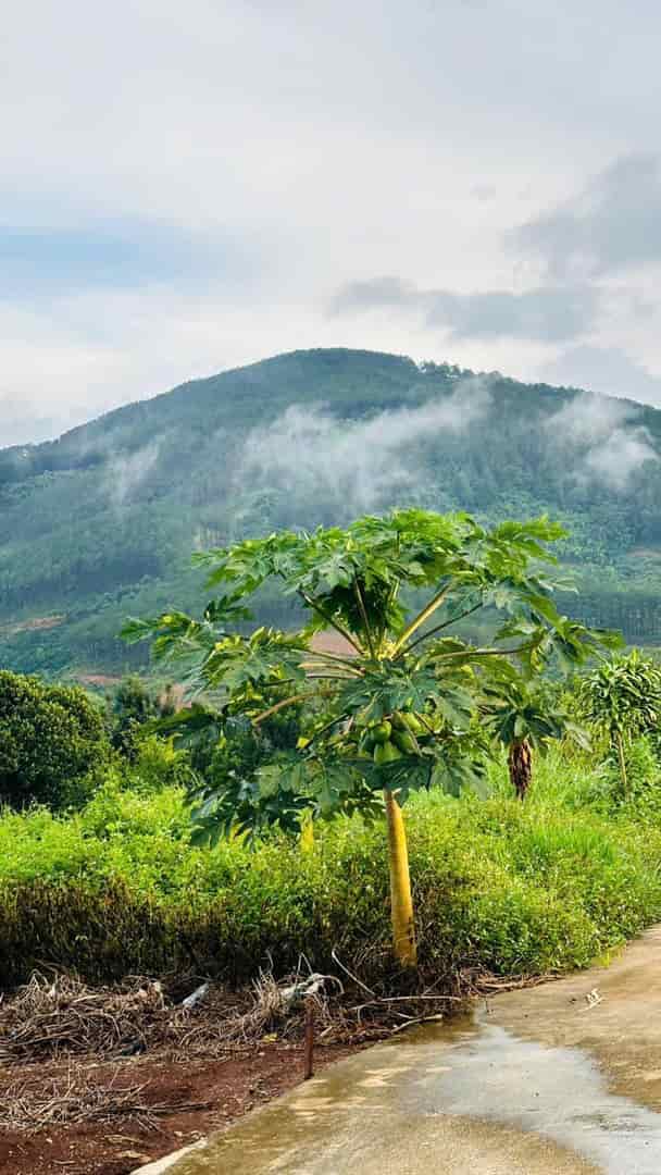 Chủ cắt lỗ bán lô đất Đông Thanh Lâm Hà Lâm Đồng