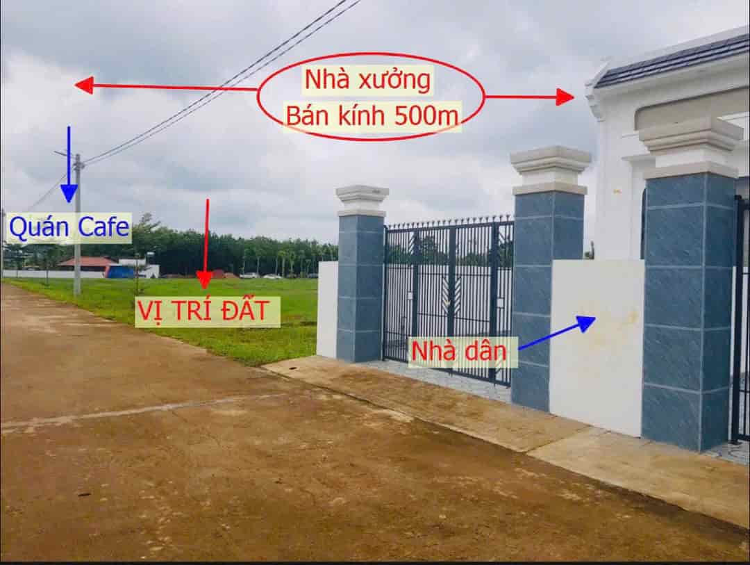 Kẹt tiền bán 250m2 đất shr ngay kcn Becamex, gần chợ dân đông, giá 230 triệu