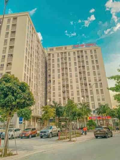 Chính chủ cho thuê căn hộ chung cư Phúc Đạt Connect phường Phú Lợi, Tp Thủ Dầu Một Bình Dương