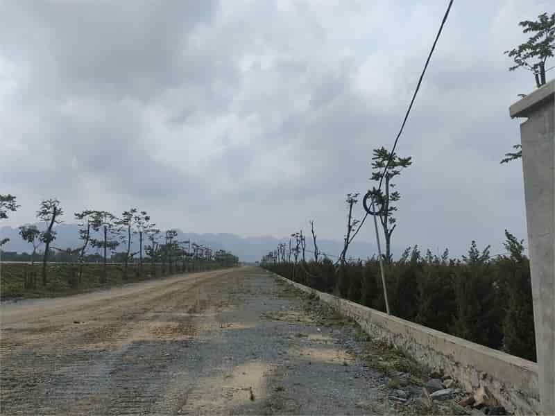 Bán 420.000m2 đất kho nhà xưởng 50 năm tại Huyện Thanh Miện, tỉnh Hải Dương