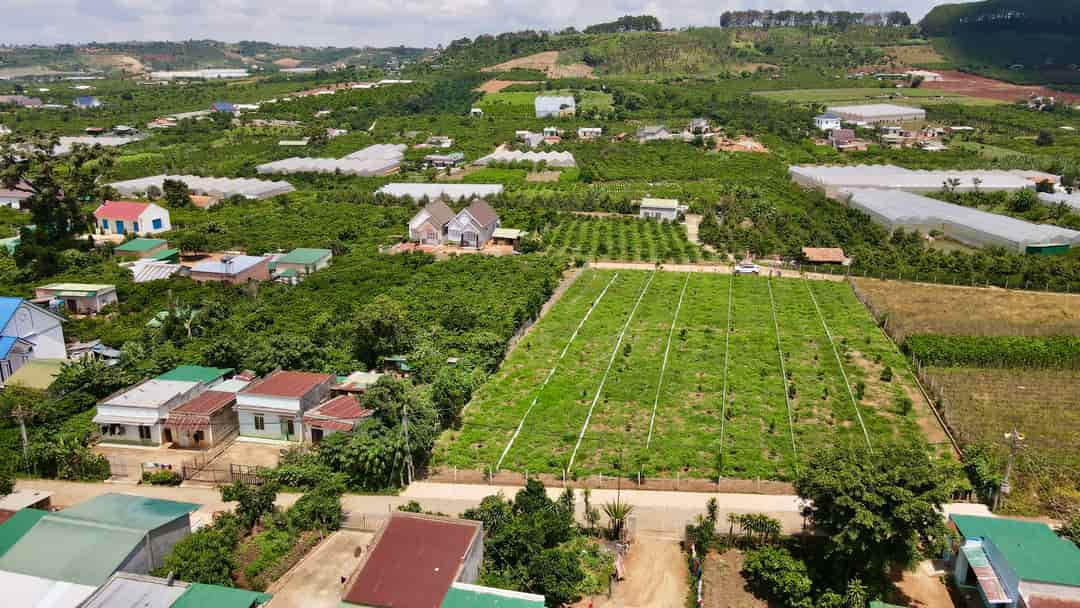 Thanh lí lô đất cuối cùng Mê Linh quy hoạch TP Đà Lạt chỉ 860 triệu