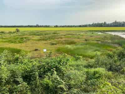 Cần bán lô đất 50m mặt tiền tại quốc lộ n2 thuộc xã Tân Bình, Tân Thạnh, Long An