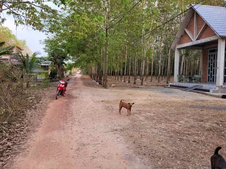 Chính chủ cần bán nhanh lô đất đẹp tại khu phố Lộc Chánh