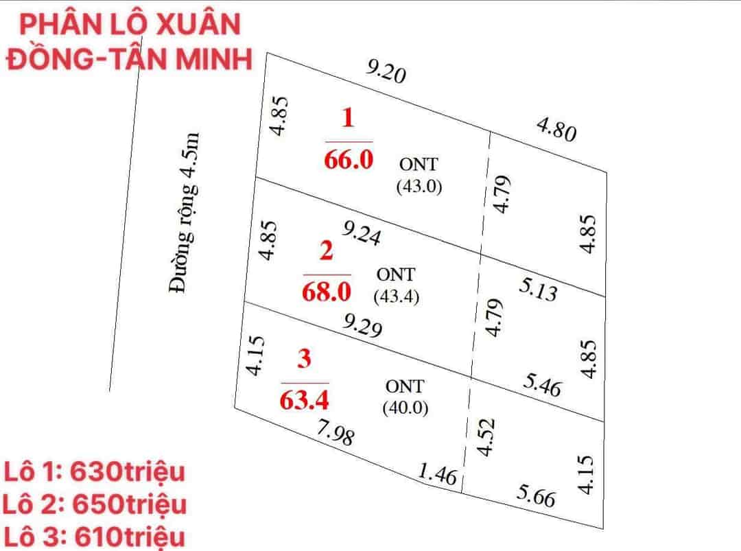 66m ô tô nằm gọn trong nhà giá chưa đến 10tr/m tại Xuân Đồng, Tân Minh, SS