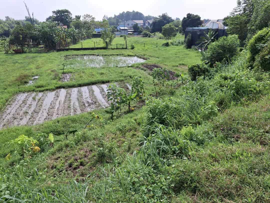 Đất view kênh đường 566 Củ Chi, 1894m2, 56x50m, Đ.5m chỉ 5.x tỷ