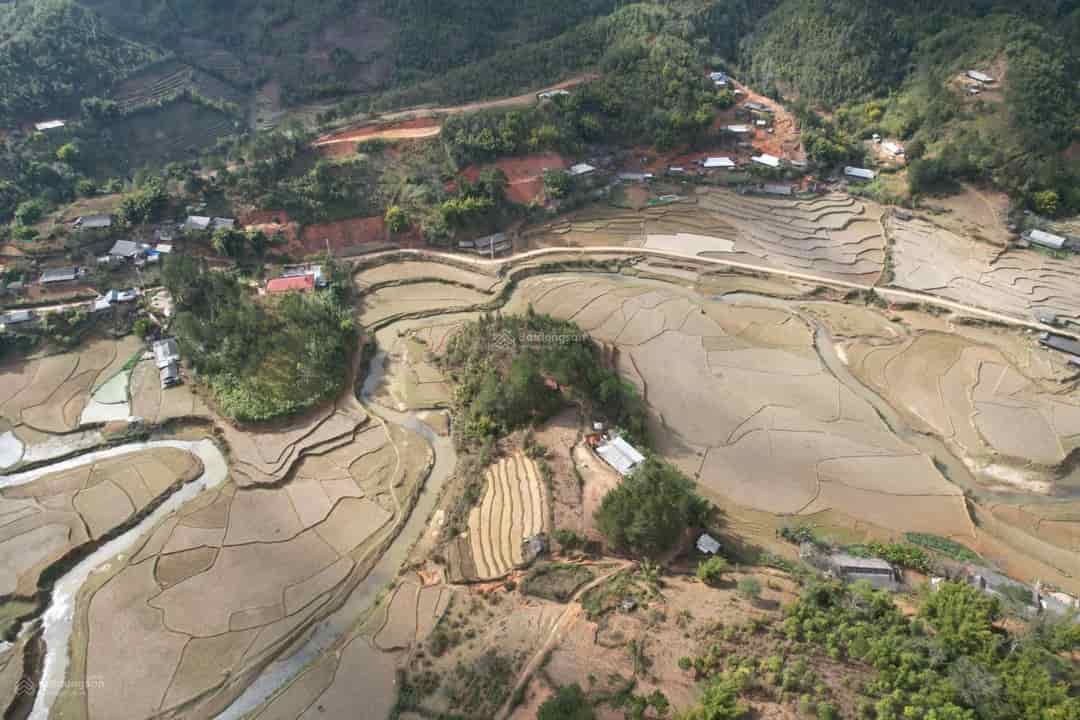 Bán quả đồi độc lập làm homestay và khu nghỉ dưỡng, diện tích 5774m2 và thêm mấy thửa ruộng