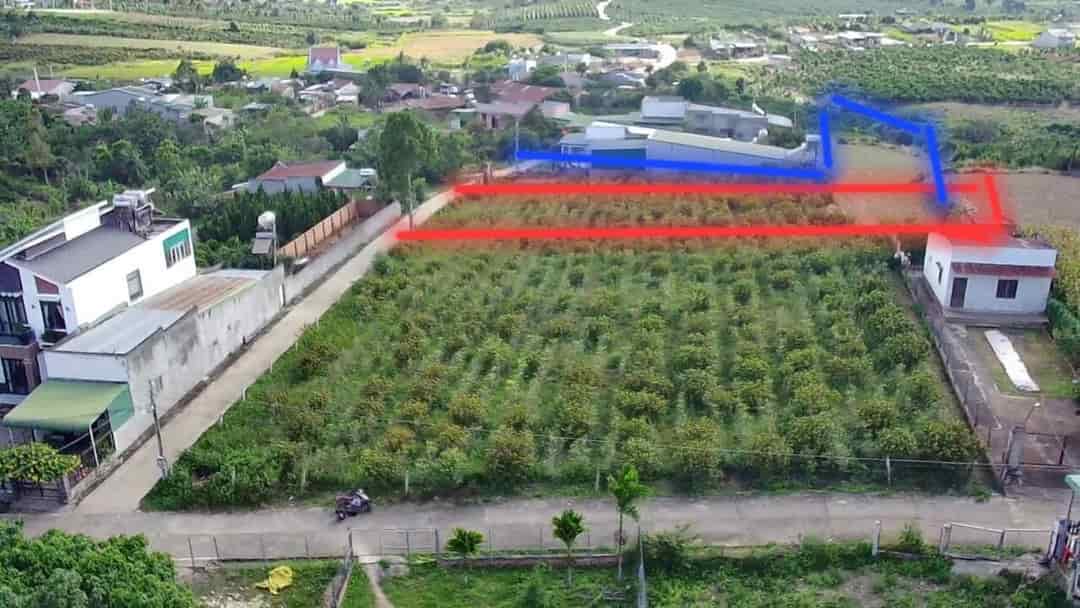 Bán đất khu dân cư sau ủy ban xã Và Chợ Ninh Gia, 12x76, 903m,  giá 2 tỷ