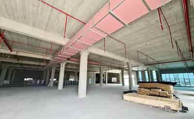 Cho thuê nhà xưởng mới xây dựng 25.000m pccc tiêu chuẩn mới nhất tại kcn tỉnh Vĩnh Phúc