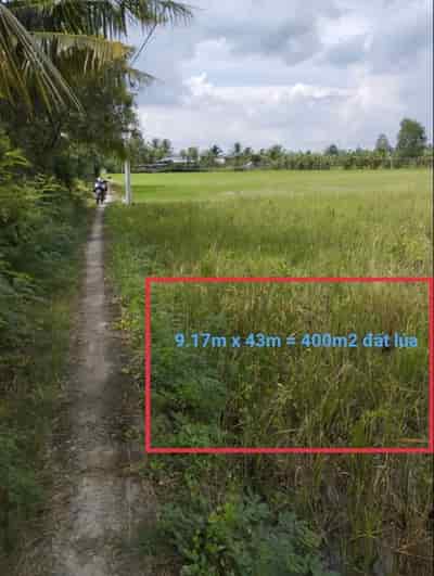 Bán lô đất ruộng vuông vức đầu tư gần Ủy ban xã Long Chánh, Tx Gò Gông, Tiền Giang