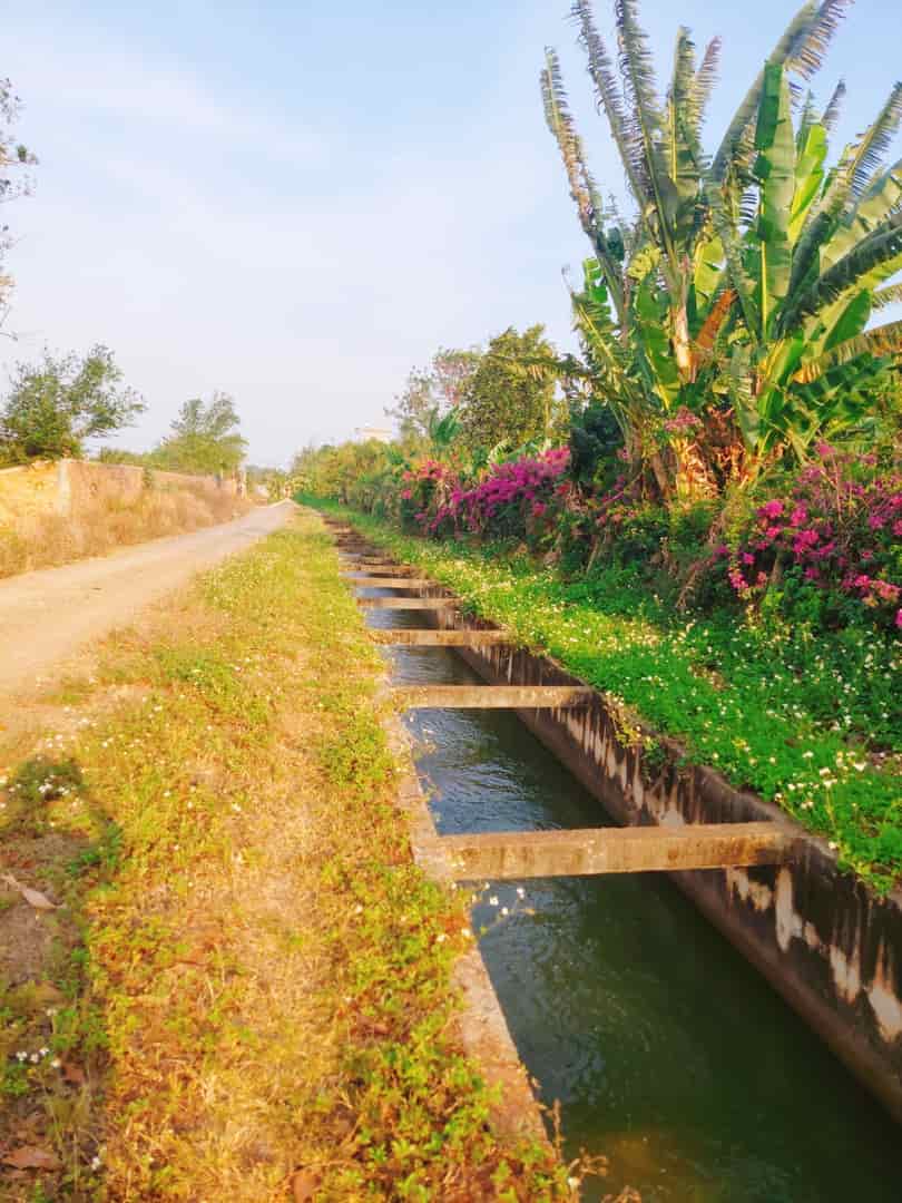 Chính chủ cần bán lô đất hướng đông nam, đường Ea Kao-Hoà Khánh, Buôn Ma Thuột, Đăk Lăk .