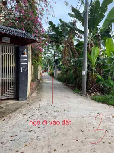 Bán đất ở thuộc xã Vạn Phúc, huyện Thanh Trì, Hà Nội