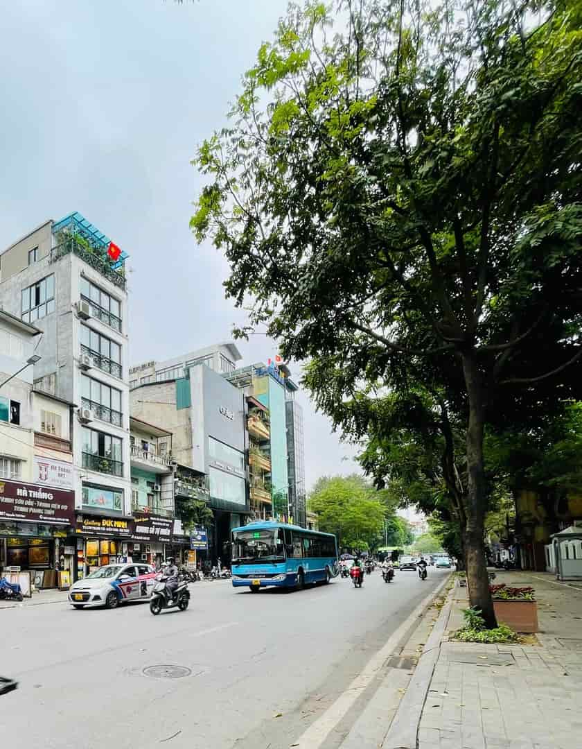 Đất vàng mặt phố Nguyễn Thái Học, Ba Đình 248m2 MT 7m, xây được 10 tầng, chỉ 148 tỷ