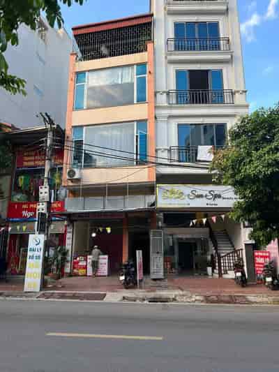 Bán nhà riêng phố Bà Triệu Hà Đông kiểu biệt thự lô góc ô tô tránh đỗ cửa ở cực sướng 130 mét 4