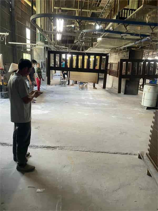 Nhà xưởng sản xuất gỗ nội thất, có đủ máy móc, hệ thống truyền sơn, sẵn xưởng giao liền
