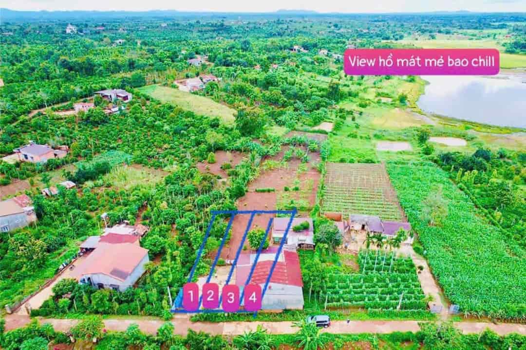 Bán đất đường bê tông view hồ 56 diện tích 250m2 sẵn 60m2 thổ cư chỉ 179tr view rất mát