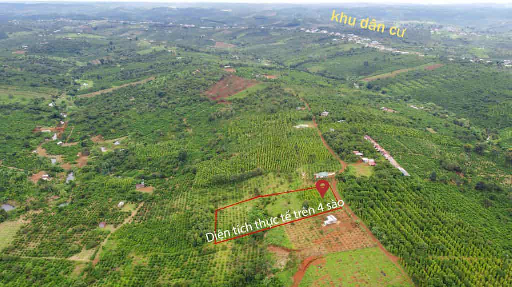 Bán 3 sào 7 đất nông nghiệp Quảng Tân, Tuy Đức, Đắk Nông