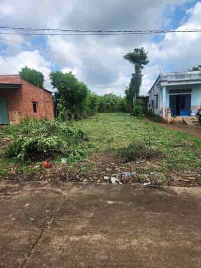 Chính chủ cần bán lô đất mặt tiền tại xã Xuân Sơn