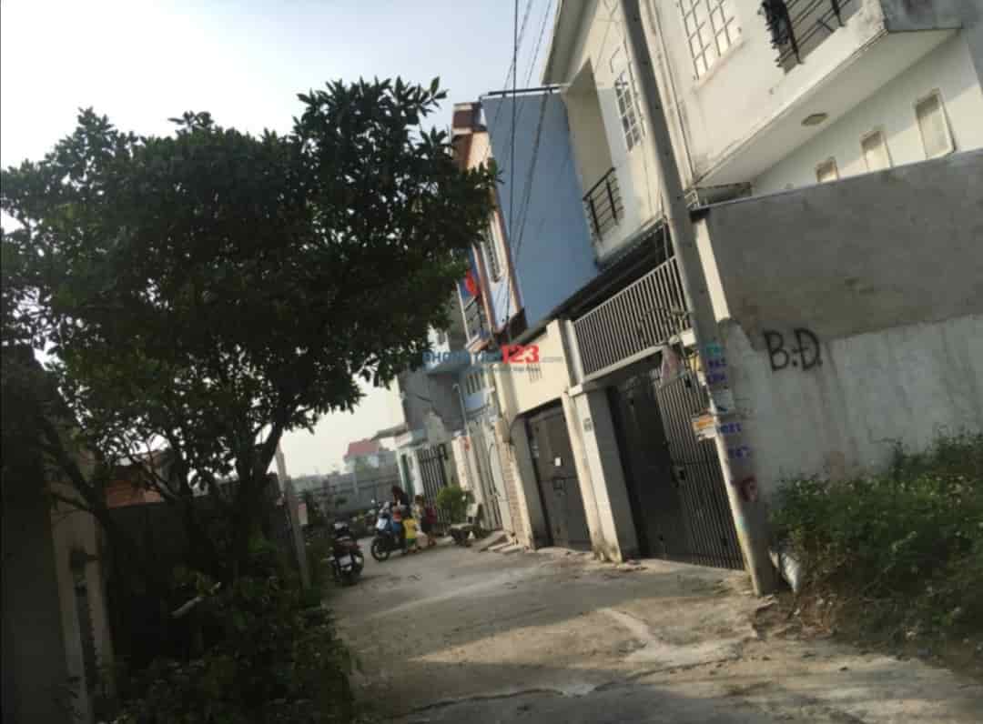 Chonữ thuê phòng giá rẻ trung tâm phường An Phú Đông, quận 12, gần trường Nguyễn Tất Thành