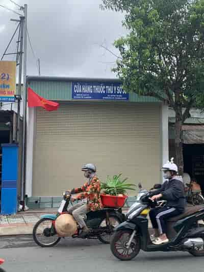 Cho thuê căn nhà mặt tiền đường Nguyễn Đình Chiểu, ngay trung tâm TP Bến Tre, gần cầu Cá Lóc