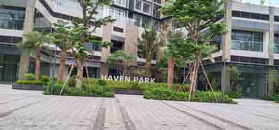 Bán và cho thuê căn hộ chung cư Haven Park, Ecopark full nội thất